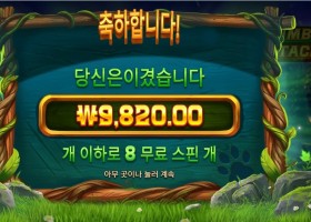 팀버 스택스 8바퀴