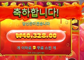 쥬시 후르츠 멀티홀드 ４콩