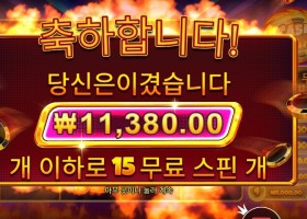 캐시 칩스 11천원