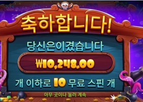 프라그마틱 스카이 바운티 메가