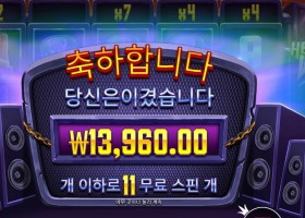 헬비스 와일드 11스핀