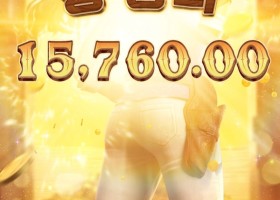 와일드 바운티 쇼다운