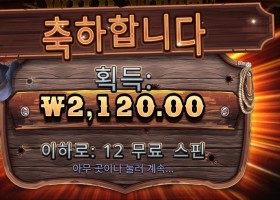 와일드 웨스트 골드 2천원