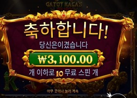 카토 카카즈 퓨리 ３천원