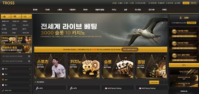 트로스 먹튀 확정