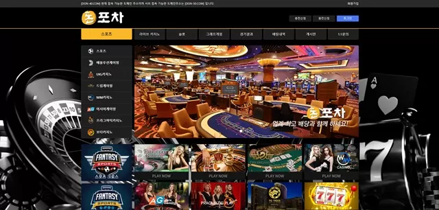 돈포차 먹튀 확정