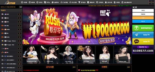 비스타 먹튀 확정