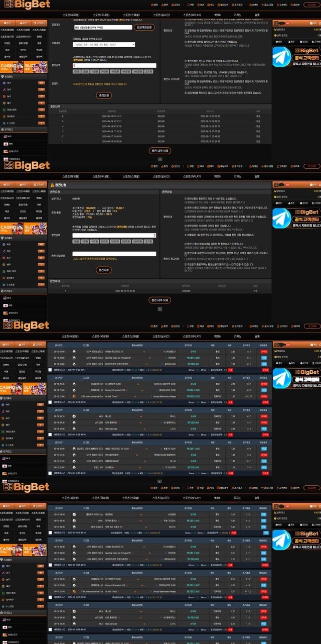 빅벳 먹튀 확정