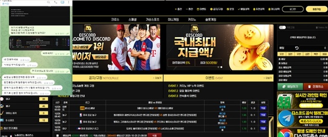 디스코드 먹튀 확정