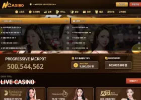 N카지노 먹튀 확정