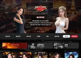 벅시 먹튀 확정