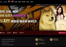 도지벳 먹튀 확정