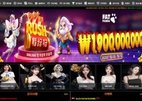 비스타 먹튀 확정