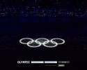 올림픽 먹튀 확정